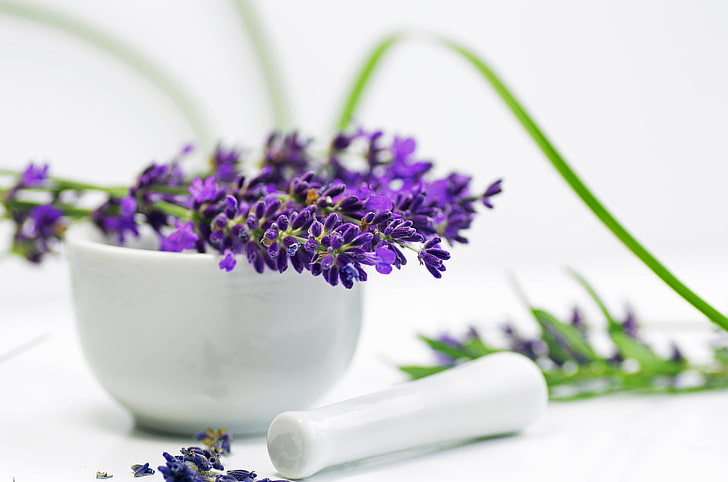 white ceramic mortar and pestle, flowers, purple, lavender, flowering plant