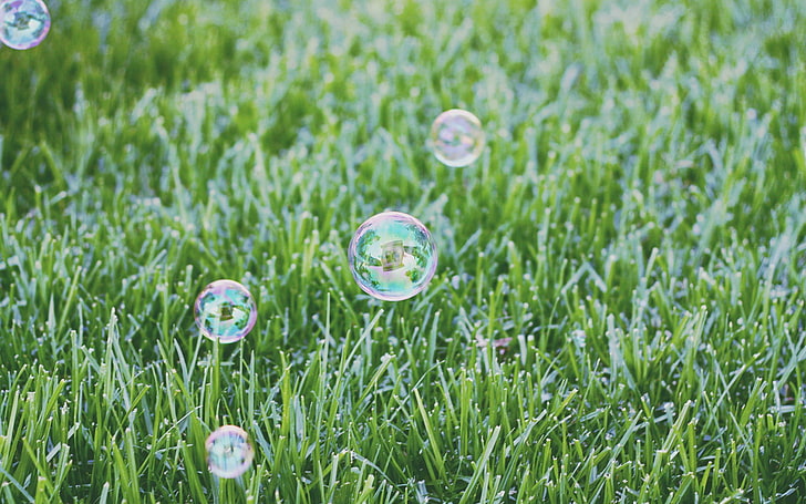 nature, green, bubbles, plant, field, grass, green color, growth, HD wallpaper