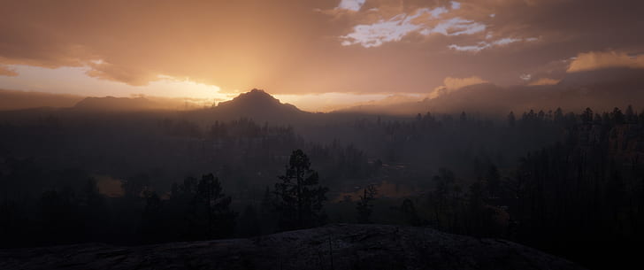 Red Dead Redemption 2, Rockstar Games, screen shot, Video Game Landscape