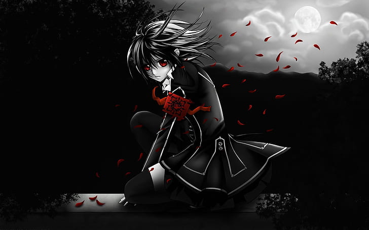 Vampire Knight Series, black haired girl anime character illustration