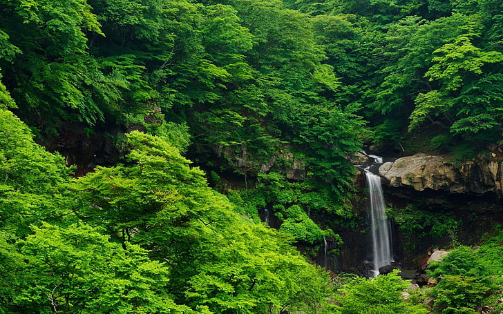 green trees, waterfall, nature, forest, landscape, green color, HD wallpaper