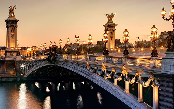 France Paris, Pont Alexandre III, Seine river, city lights night scenery, white and black bridge