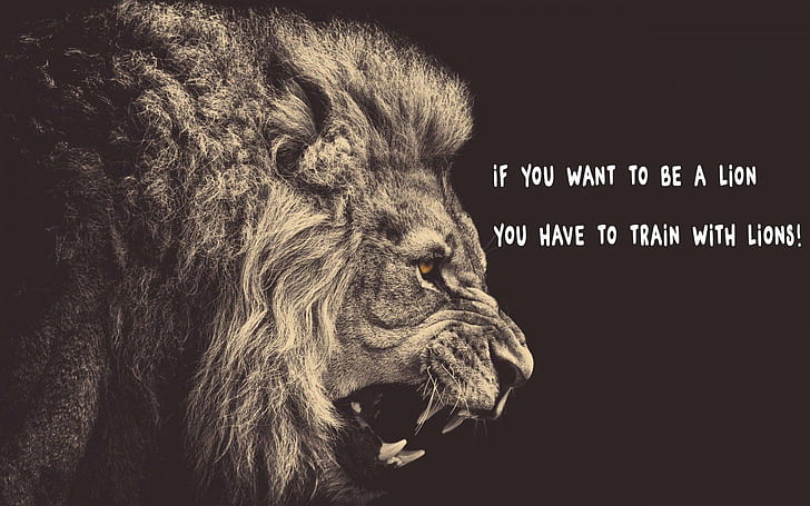 4800x900px | free download | HD wallpaper: lion, quote | Wallpaper Flare