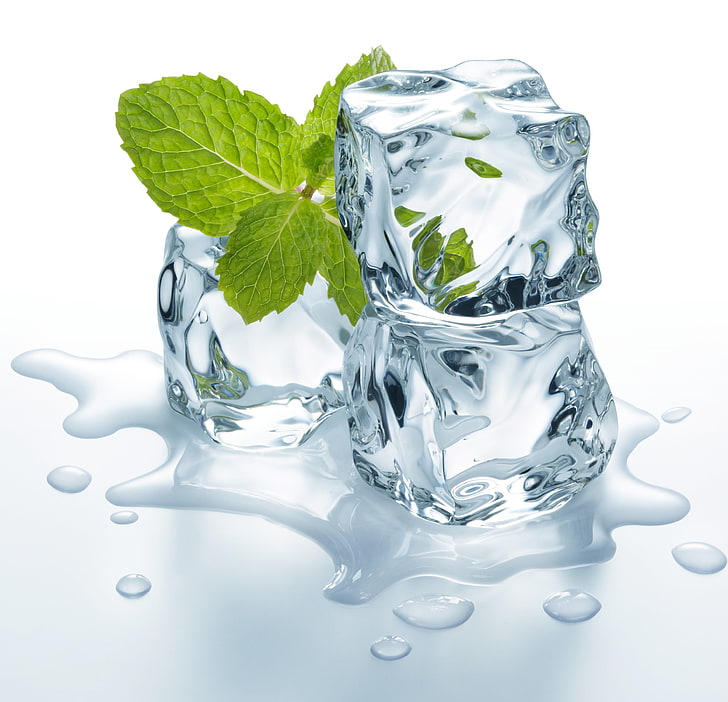 ice cubes and mint leaf, water, leaves, freshness, drop, liquid