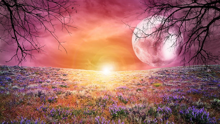 moon, field, dream, dreams, sunset, dreamland, tree, beauty in nature, HD wallpaper