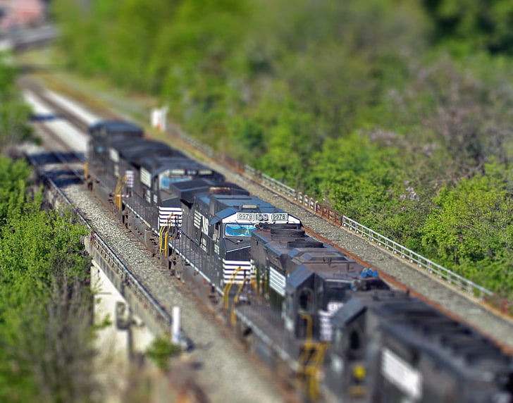 black train, selective focus photography of train surrounded by trees