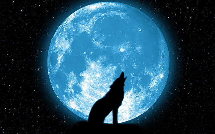Full moon howl-High quality HD Wallpaper, wolf and moon illustration