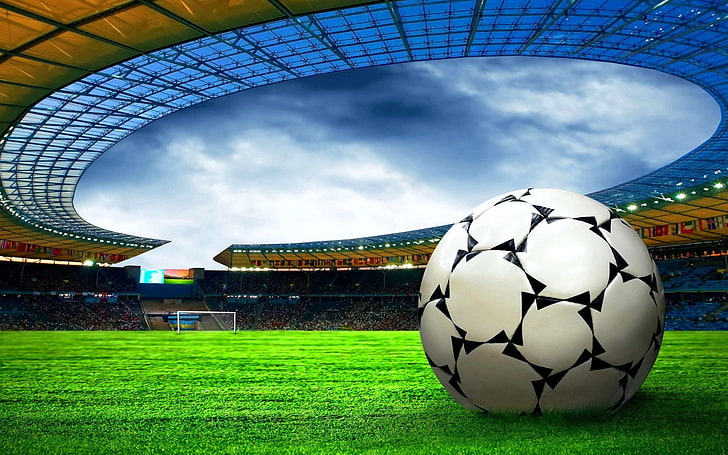 soccer, grass, sport, team sport, plant, ball, soccer field, HD wallpaper