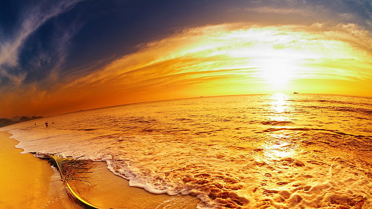 sea, sunset, sky, beach, sunlight, horizon, water, HD wallpaper