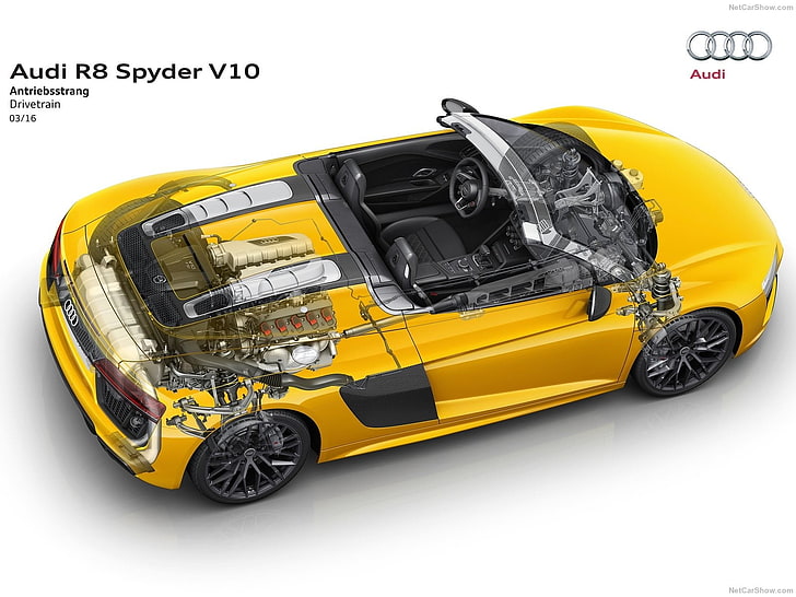 Audi R8 Spyder, car, transportation, mode of transportation, HD wallpaper