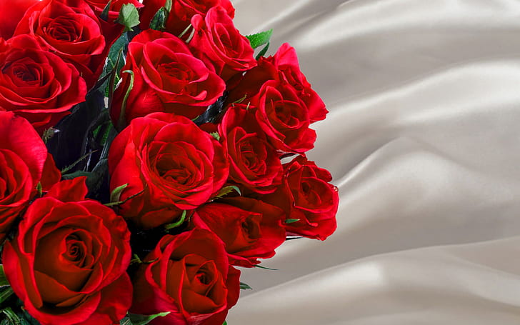 Hd Wallpaper Lovely Roses Desktop Background 5690 Flare - Lovely Rose Wallpaper Hd