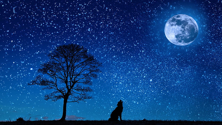 full moon, starry night, night sky, stars, tree, wolf, roar, HD wallpaper
