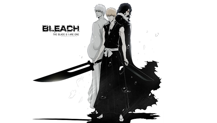 Bleach poster, kurosaki ichigo, empty, swords, women, people, HD wallpaper