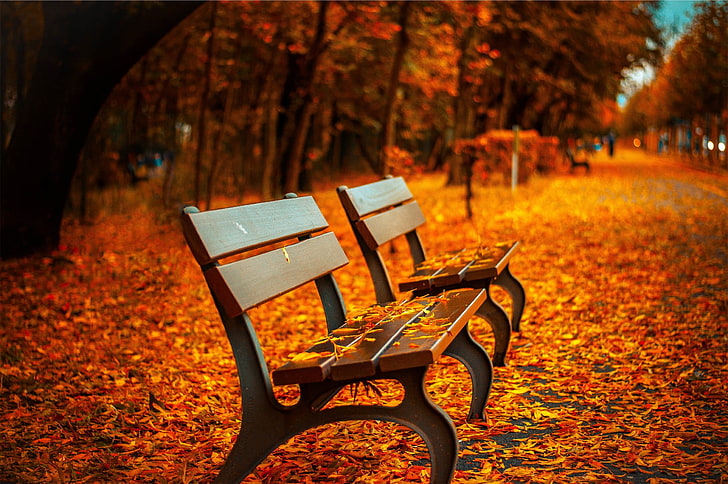 brown wooden bench, two brown wooden slatted benches, fall, leaves, HD wallpaper