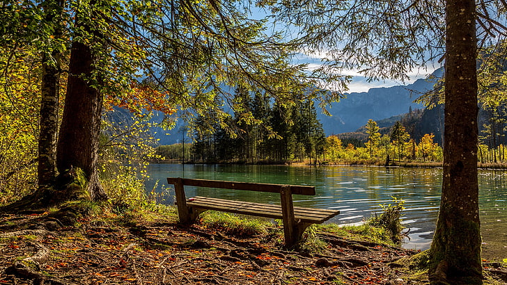 bench, nature, water, river, riverside, wilderness, woods, seat, HD wallpaper