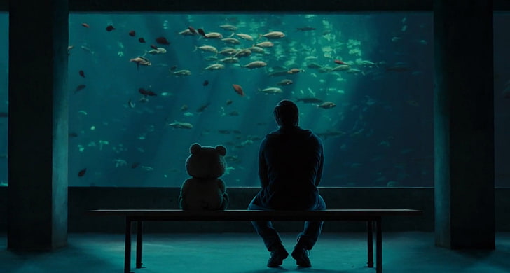 man sitting beside bear plush toy, Ted, aquarium, movies, tank, HD wallpaper
