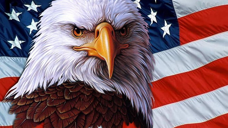 Hd Wallpaper American Eagle Symbol Usa Independence Freedom 3840 216 Patriotism Wallpaper Flare