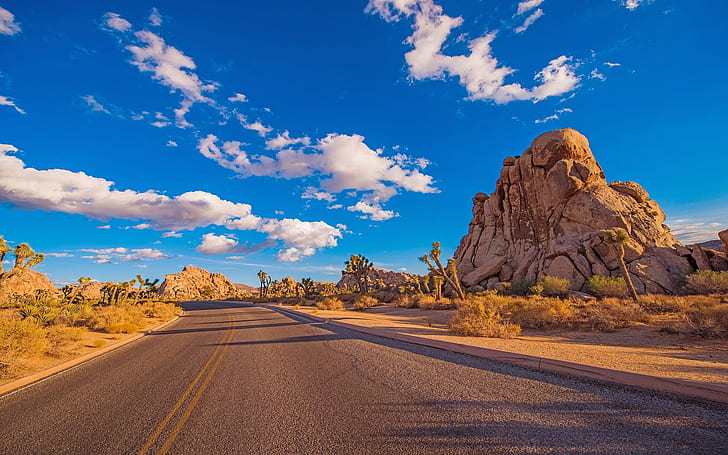 Desert Road Joshua Tree National Park Is A Protected Area In Southern California With Rugged Rock Formations And Stark Desert Landscapes California Usa Hd Wallpapers 1920×1200, HD wallpaper