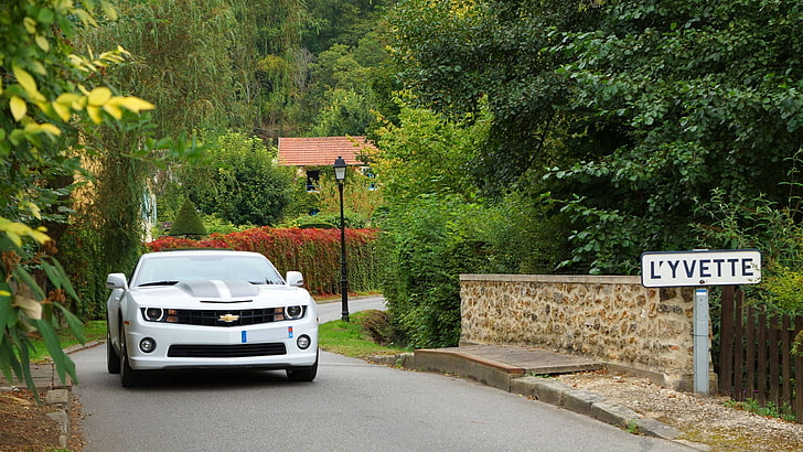 white Chevrolet Camaro, muscle cars, plant, tree, transportation, HD wallpaper
