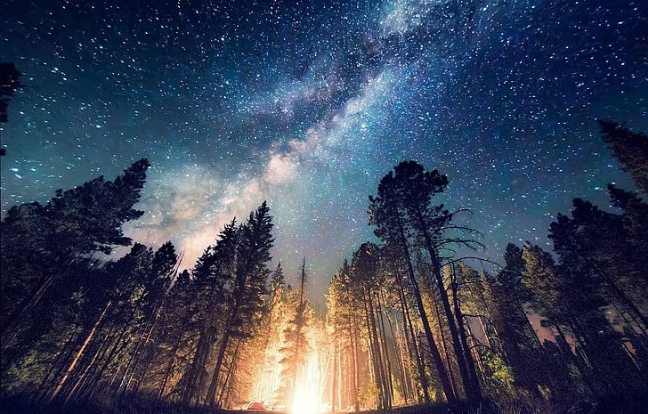 Camping, forest, galaxy, landscape, Lights, Long Exposure, Milky way, HD wallpaper