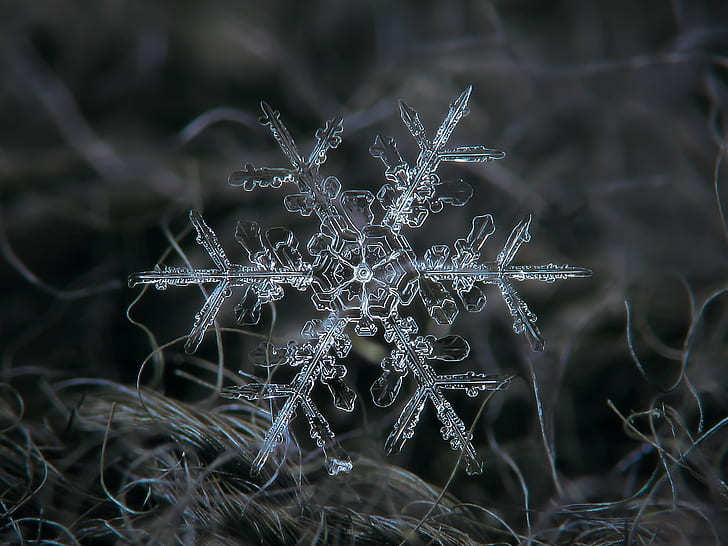 snow flakes, Stellar, dendrite, March, explore, snowflake, snow  crystal, HD wallpaper