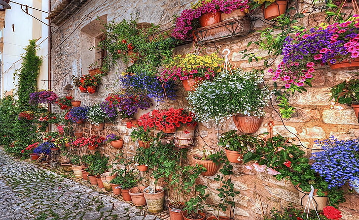 flower arrangement lot, petunia, flowers, many, planters, wall