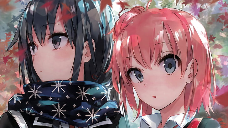 two black-and-pink-haired female anime characters wallpaper, anime girls