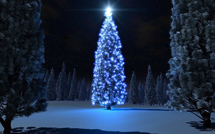 Blue christmas tree, giant christmas tree, holidays, winter, lights, HD wallpaper