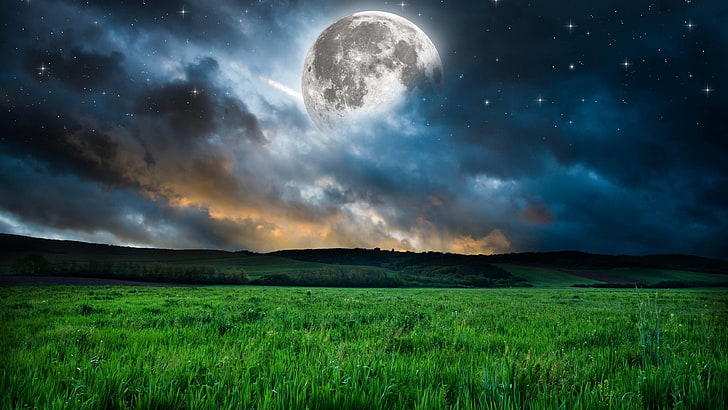 moon, grass, sky, mood, night, stars, fantasy, dream, nature, HD wallpaper