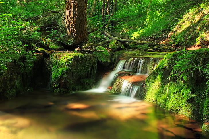 timelapse photo of water falls beside tree, Green Run, Pennsylvania, HD wallpaper