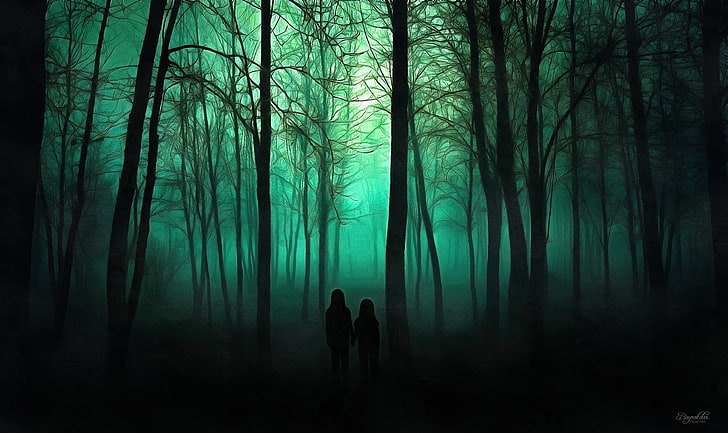 forest trail, trees, spooky, land, plant, silhouette, woodland, HD wallpaper