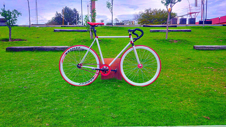 white road bike, fixie, pink, bicycle, grass, plant, green color