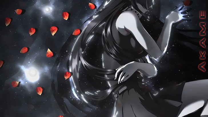 girl anime illustration, Akame ga Kill!, no people, close-up, HD wallpaper