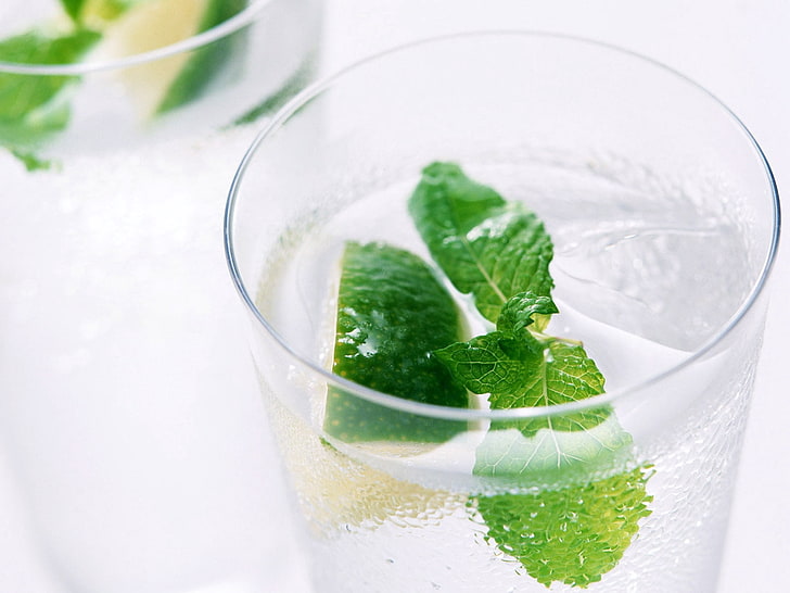 lime water, soda, mint, ice, drink, cocktail, mint Leaf - Culinary