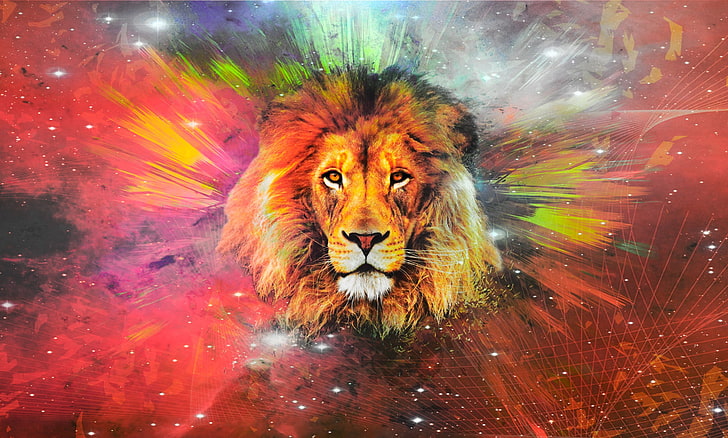 Lion Wallpapers on WallpaperDog