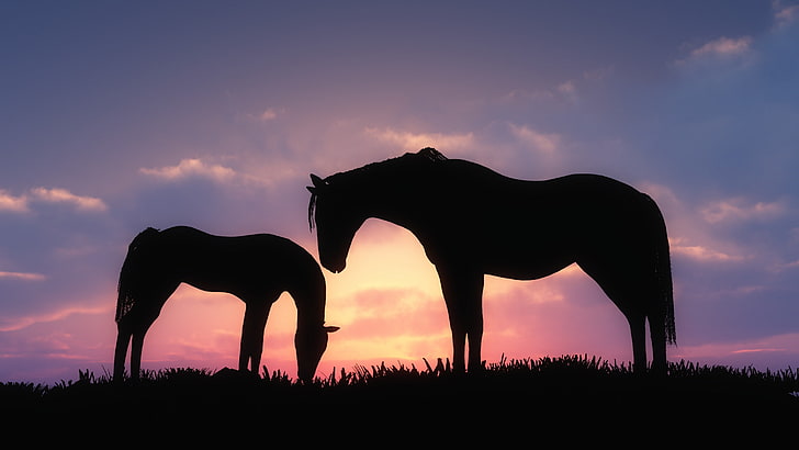 two silhouette of horses, animals, baby animals, sunset, sky