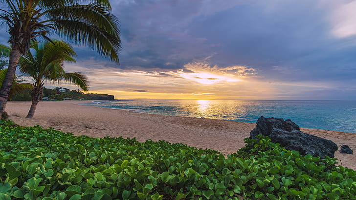 sand, beach, sunset, palm trees, the ocean, France, The Indian ocean, HD wallpaper