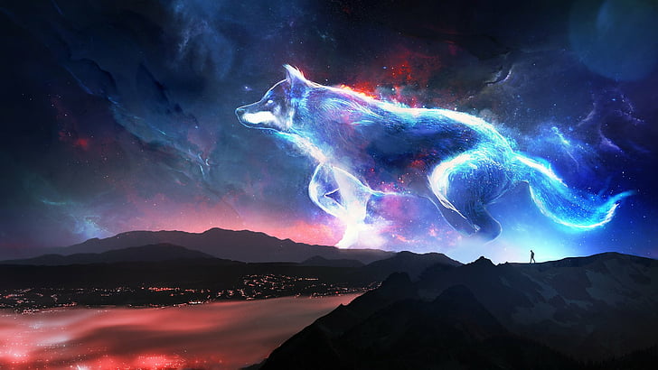 Wolf Wallpapers 4K APK for Android Download