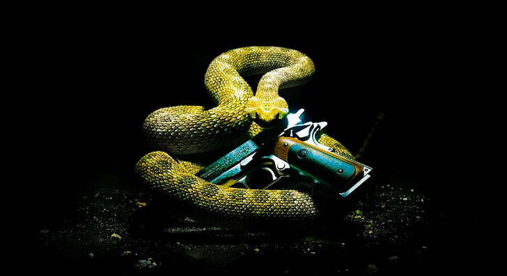 Hitman Absolution Rattlesnake HD, yellow snake, Games, 2012, video game, HD wallpaper