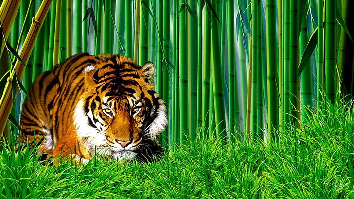 Tiger Wallpaper 4K Neon Digital paint Glowing 5097