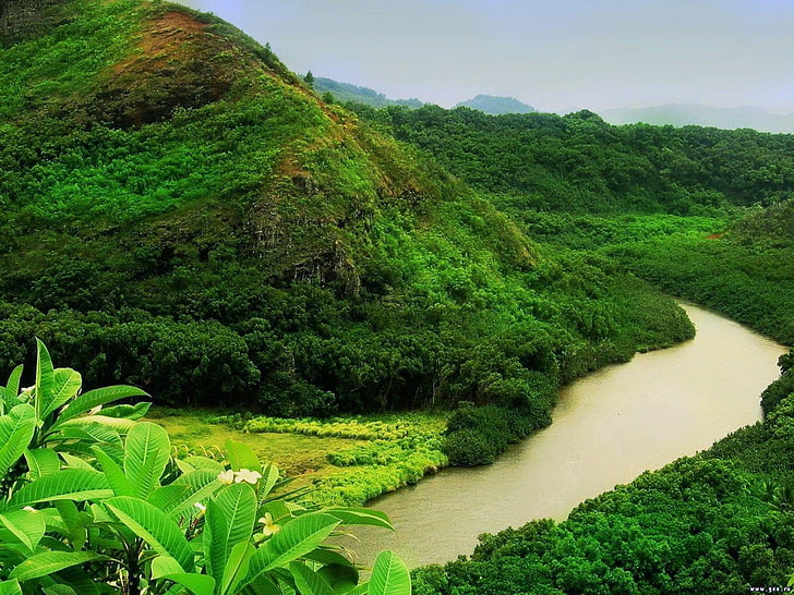 HD wallpaper: amazonas, naturaleza, rio, selva | Wallpaper Flare