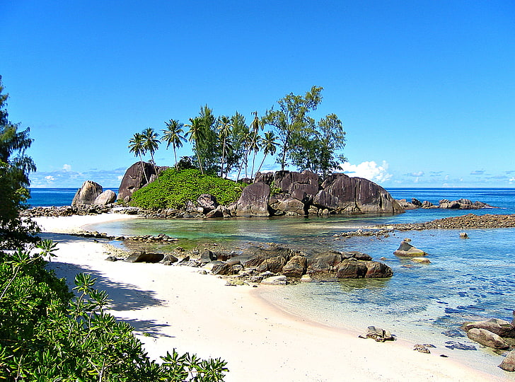 green trees, nature, the ocean, stay, relax, Seychelles, exotic