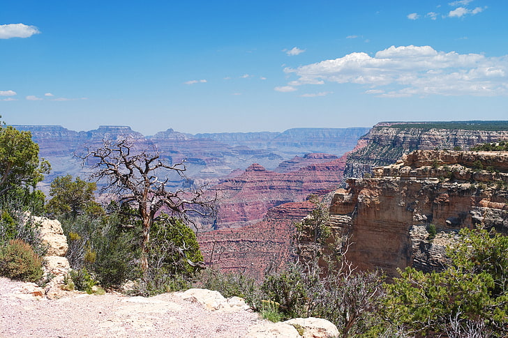 brown rock formations and trees, mountains, america, grand Canyon National Park, HD wallpaper