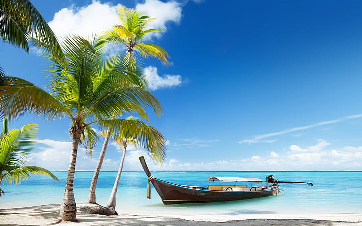 Palm trees, boat, tropical sea, beach sand, clouds