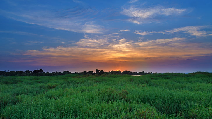 HD wallpaper: grassland, sky, prairie, plain, field, horizon, atmosphere |  Wallpaper Flare