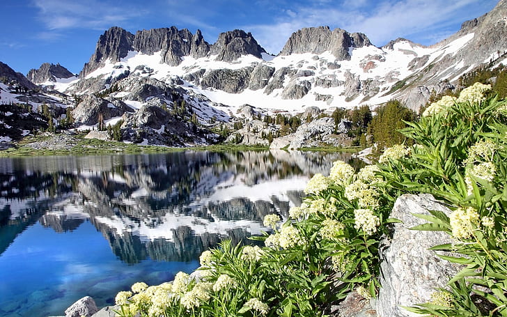 Ediza Lake, Ansel Adams Wilderness, California, USA, flowers, mountains, HD wallpaper