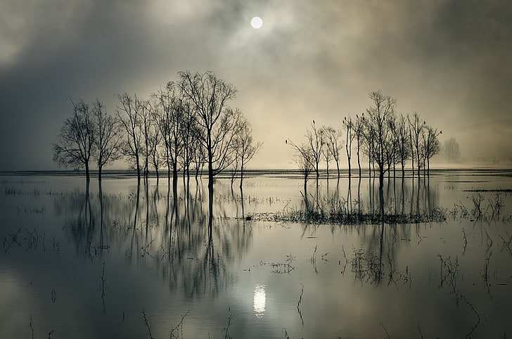 nature, landscape, lake, clouds, trees, reflection, water, China