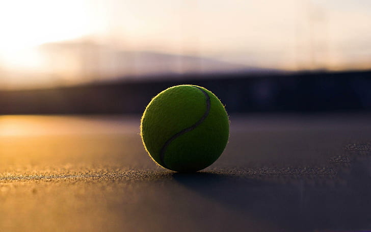 Tennis ball, tennis ball, sports, 2560x1600, HD wallpaper