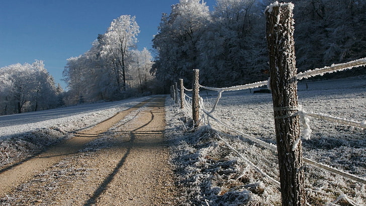 nature, fence, path, snow, trees, winter, dirt road, plant