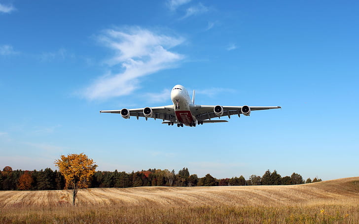 Airbus A380, Emirates Airline, Passenger Airplane, fields, HD wallpaper